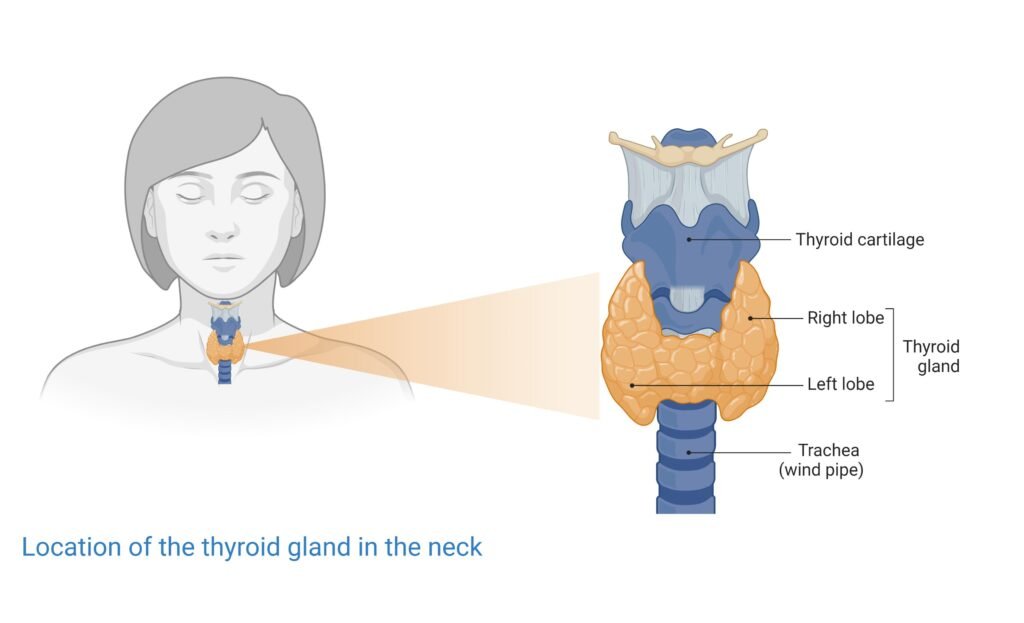 Thyroid Foods to Avoid: The Complete List of What Not to Eat Dietician in Mumbai