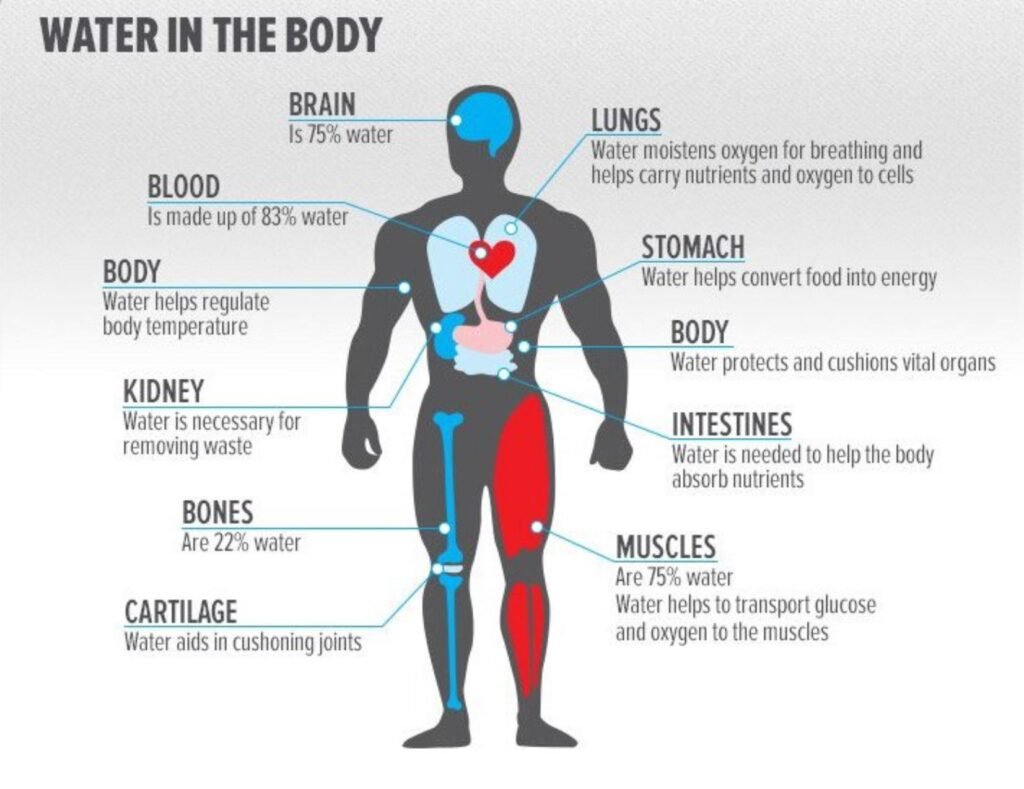 Dietician in Mumbai